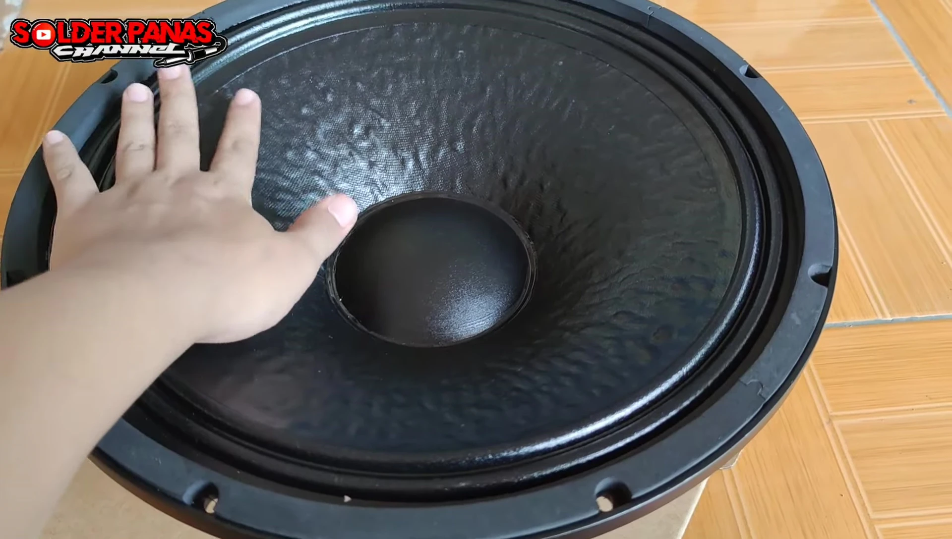 Wisdom W1572 15-inch speaker close-up