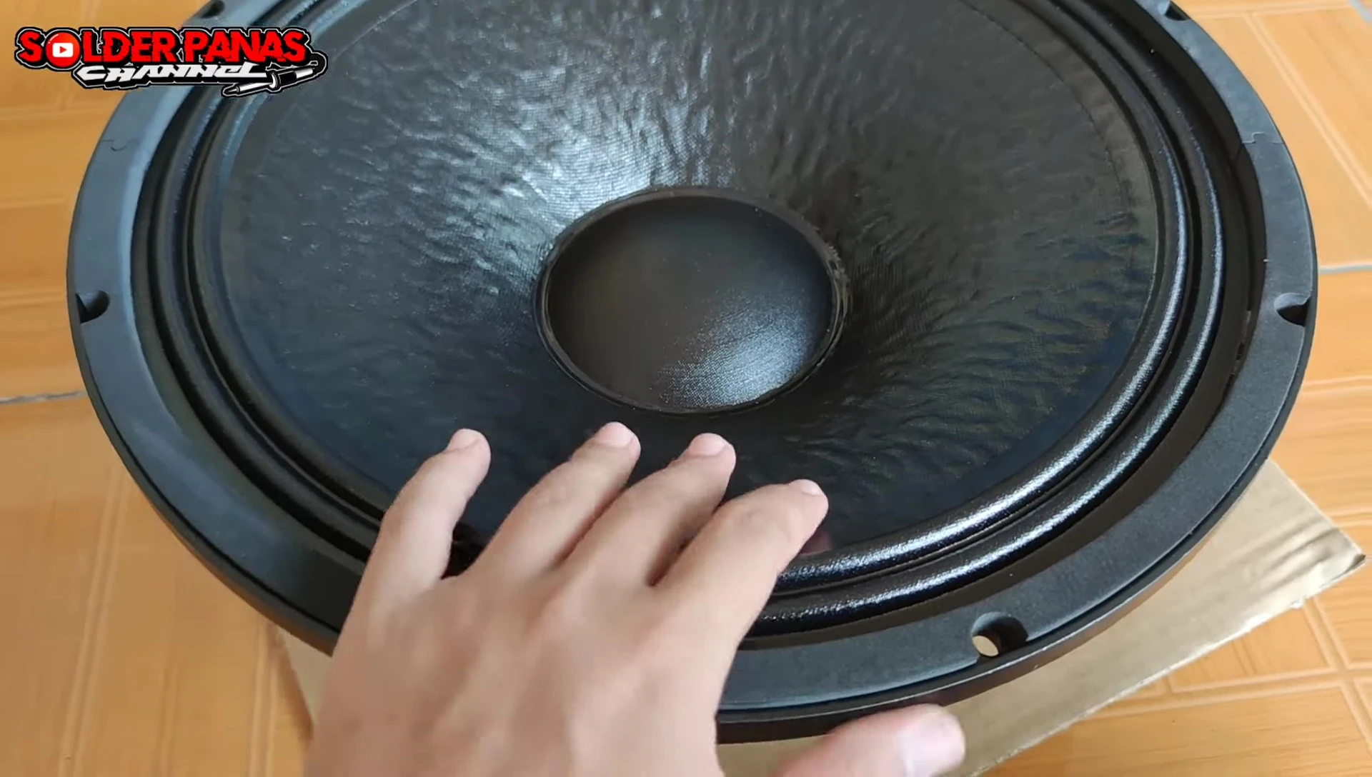 Wisdom W1572 15-inch speaker close-up