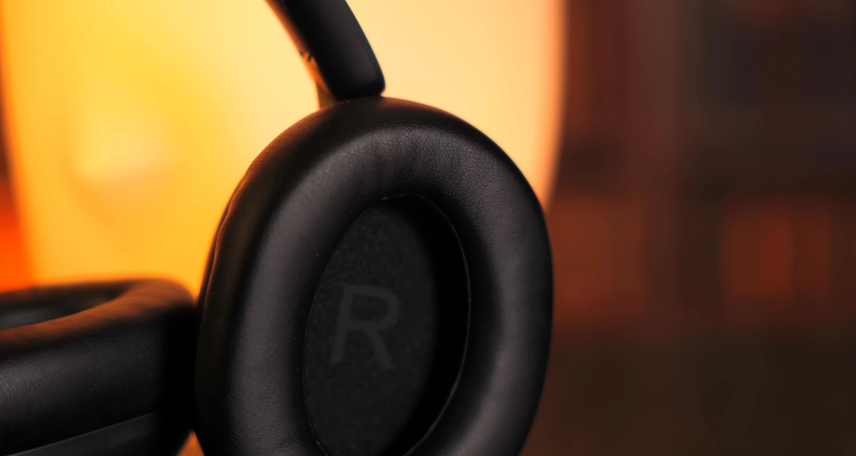 Close up shot of the earcups, highlighting comfort and build.