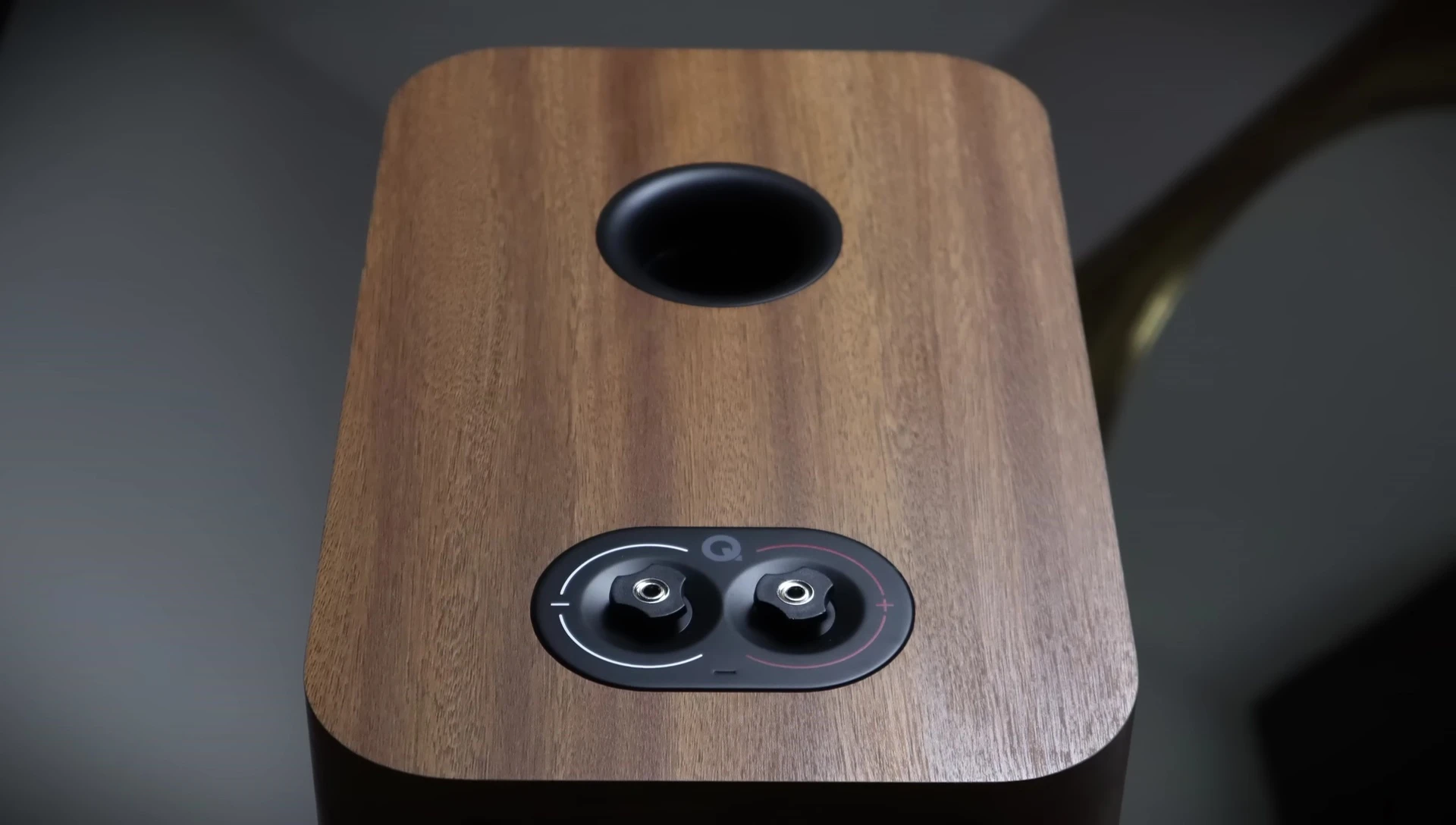 Image showcasing the high-quality speaker binding posts.