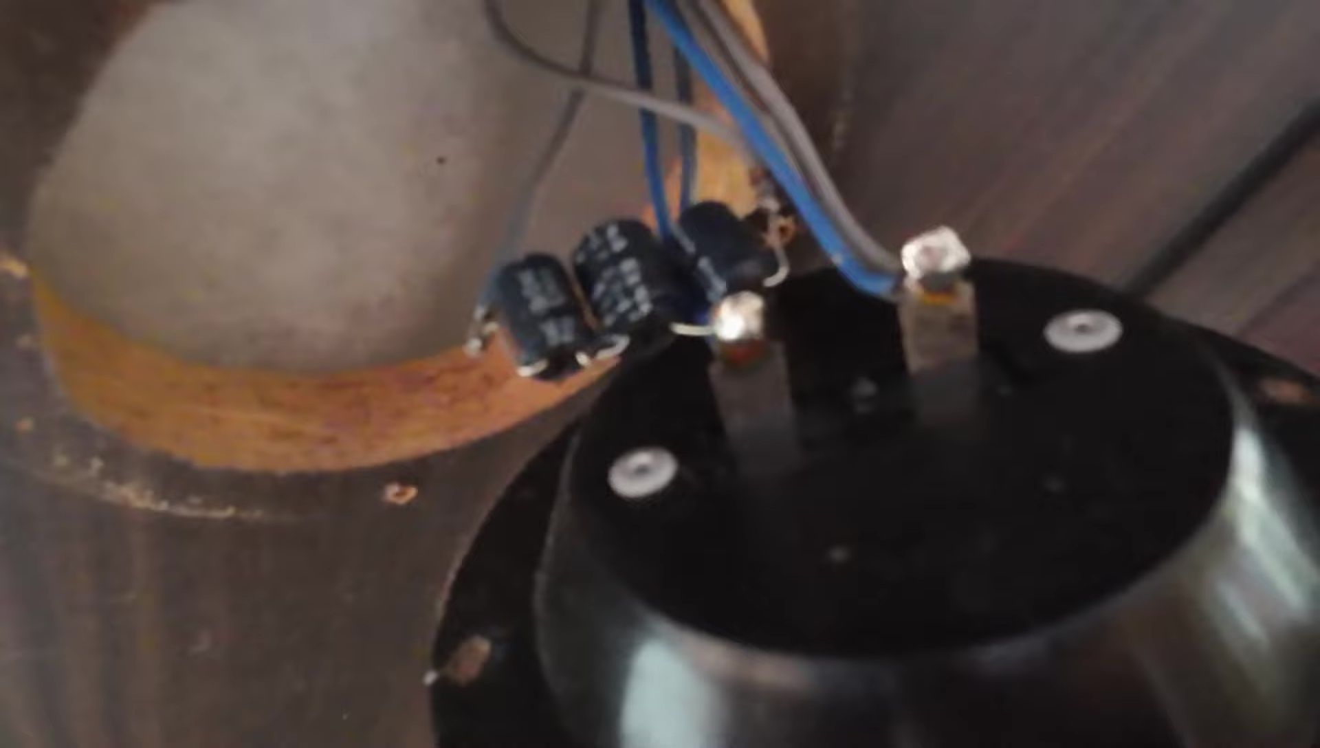 Internal view of the speaker showing lack of crossover.