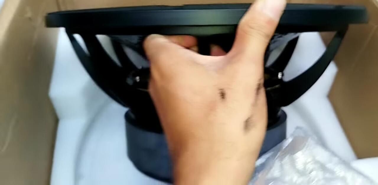 Close-up of the speaker's back