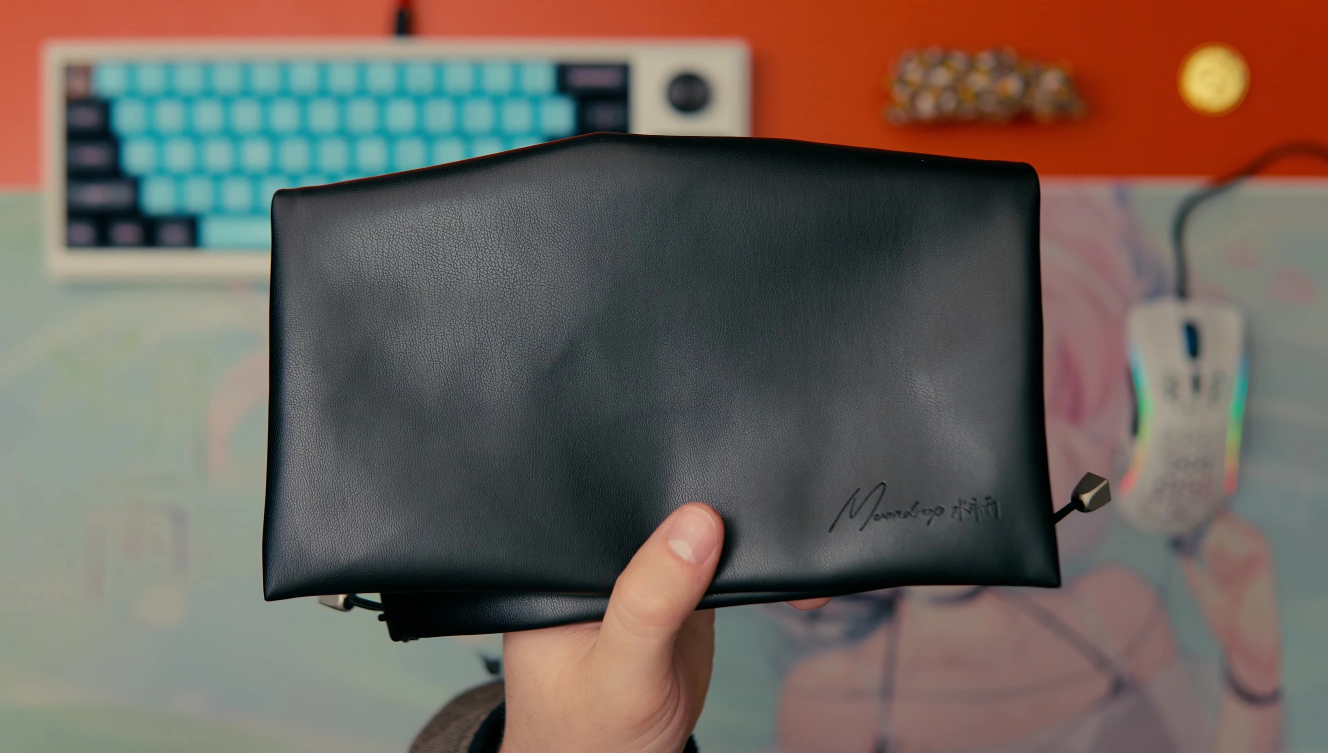 The included pleather carrying case and USB cable