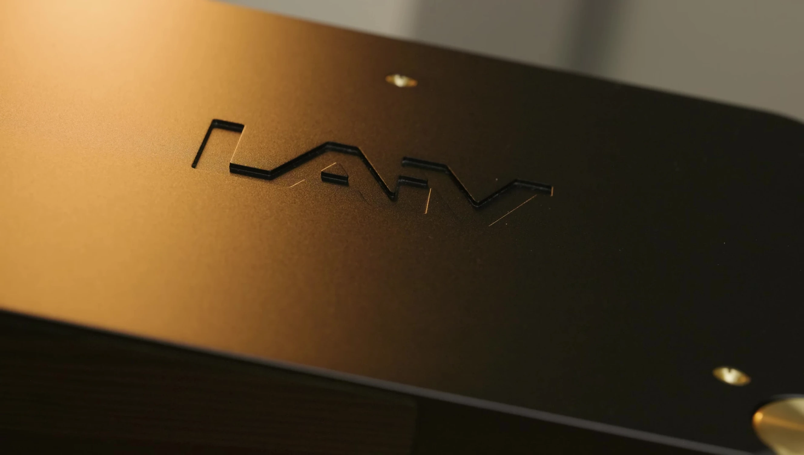 A shot potentially mentioning a Denafrips DAC