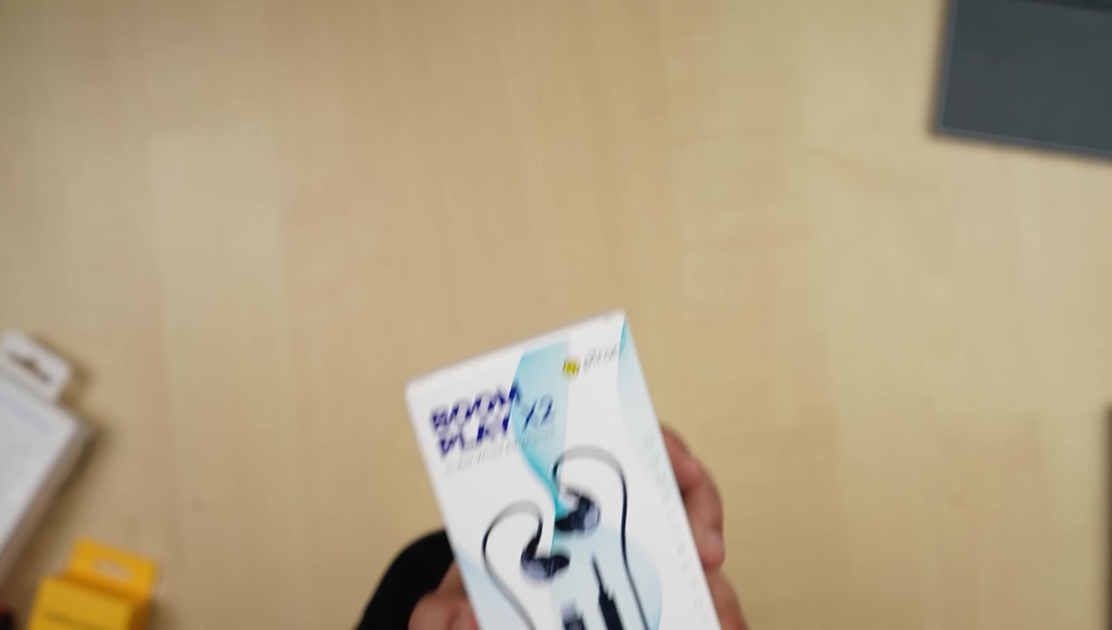 Bo2 Bo2 Earphones