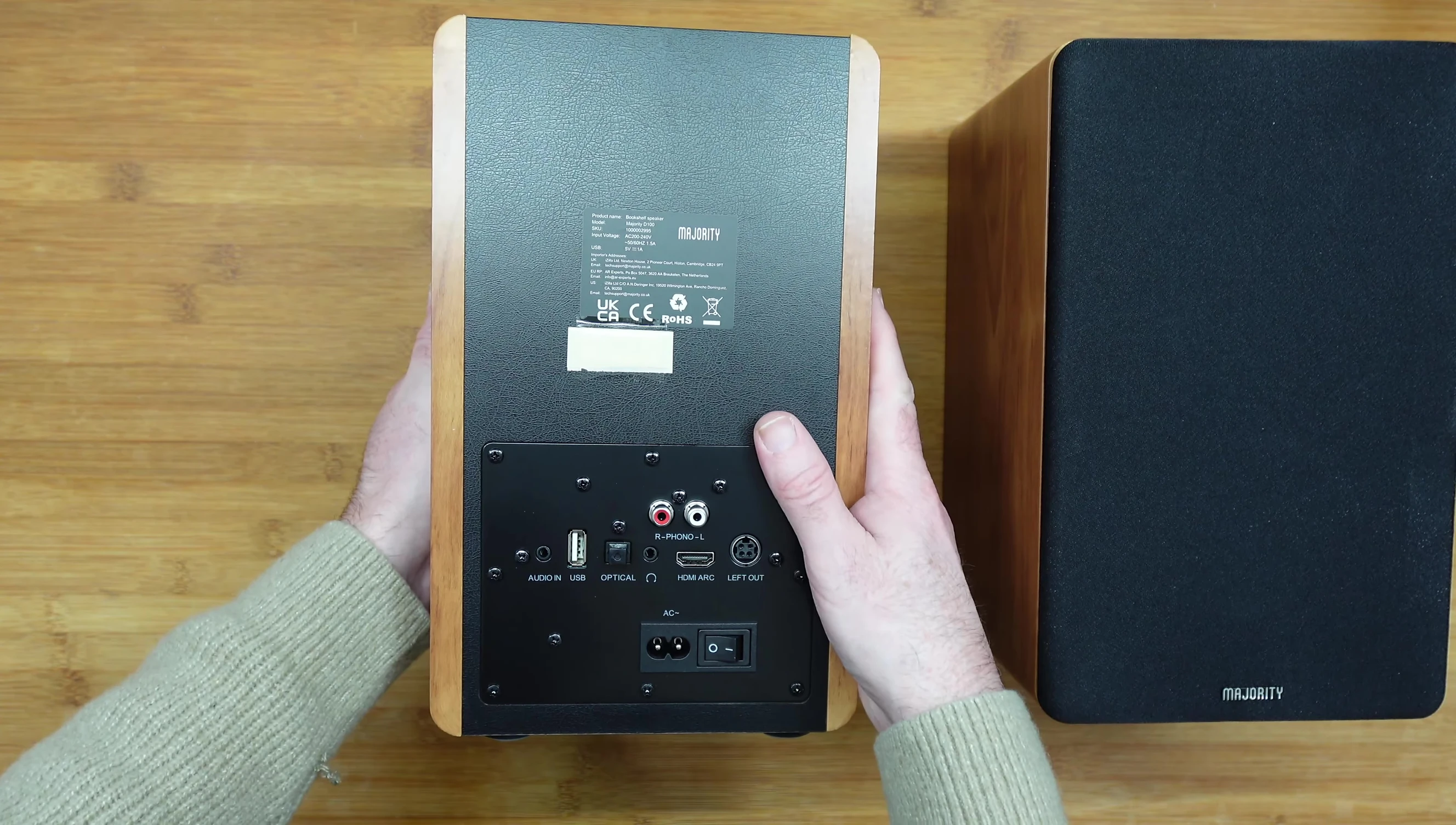 Rear panel of the master Majority D100 speaker showing various input connections.