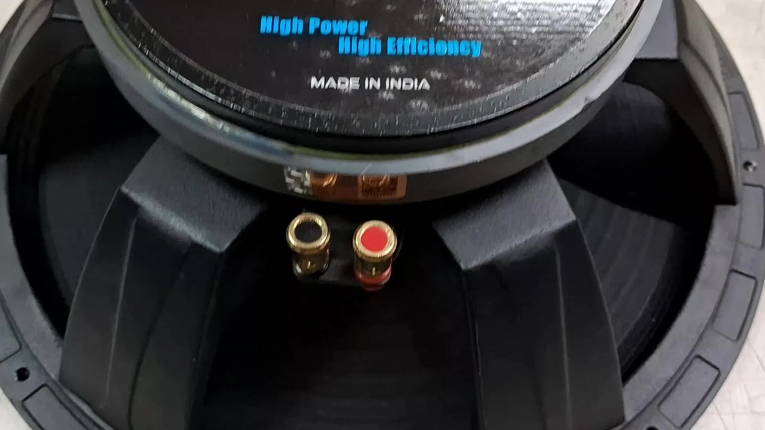 Overall view of the 15-inch speaker