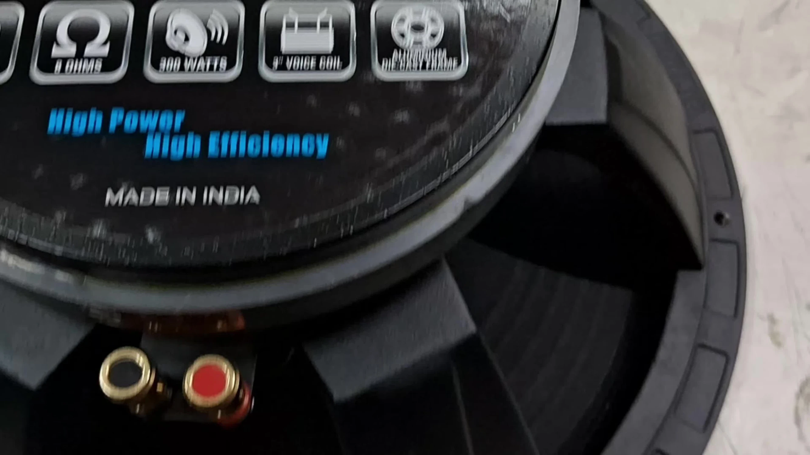 Speaker in a potential live performance setting