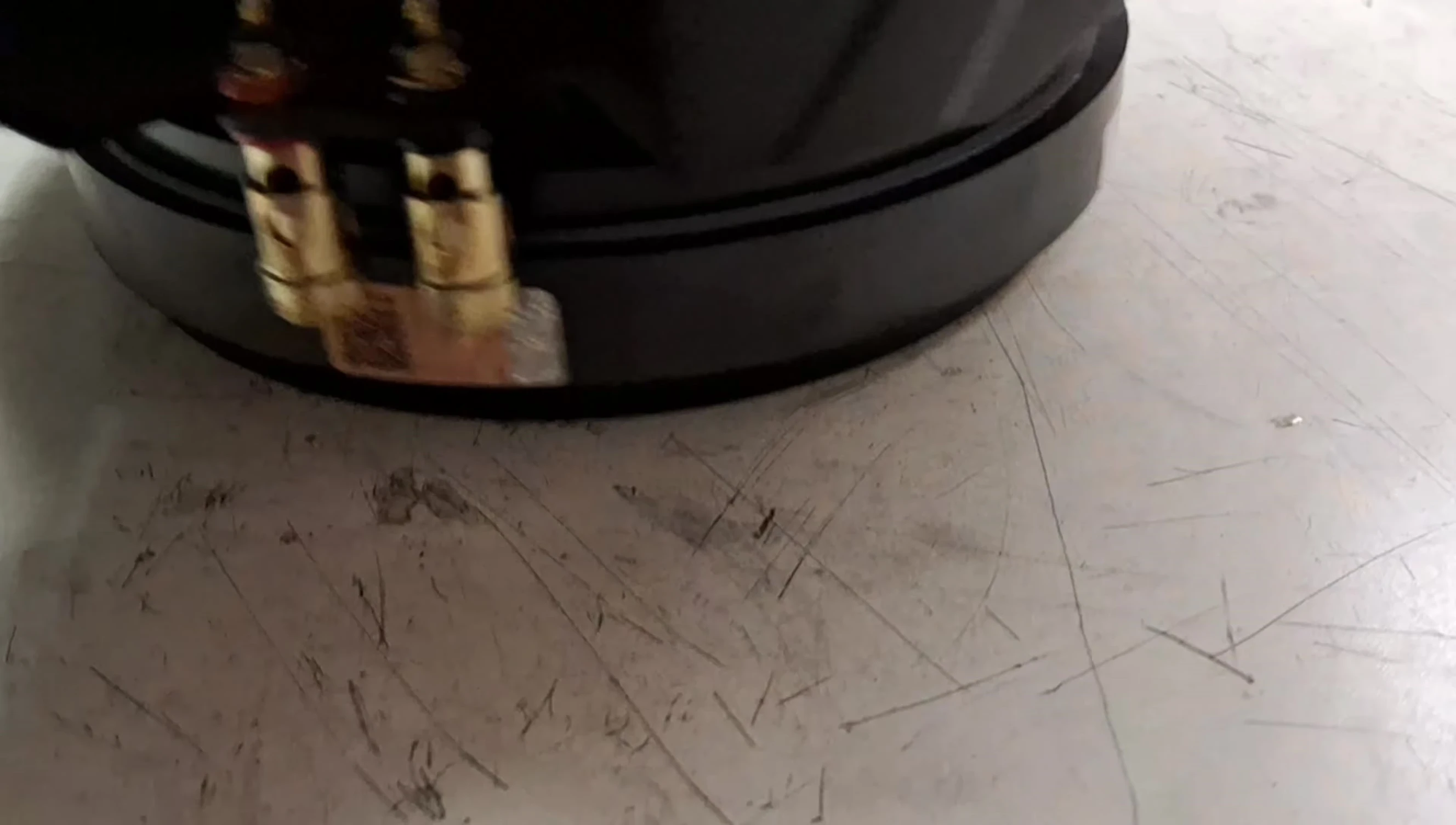Detailed shot of the spider