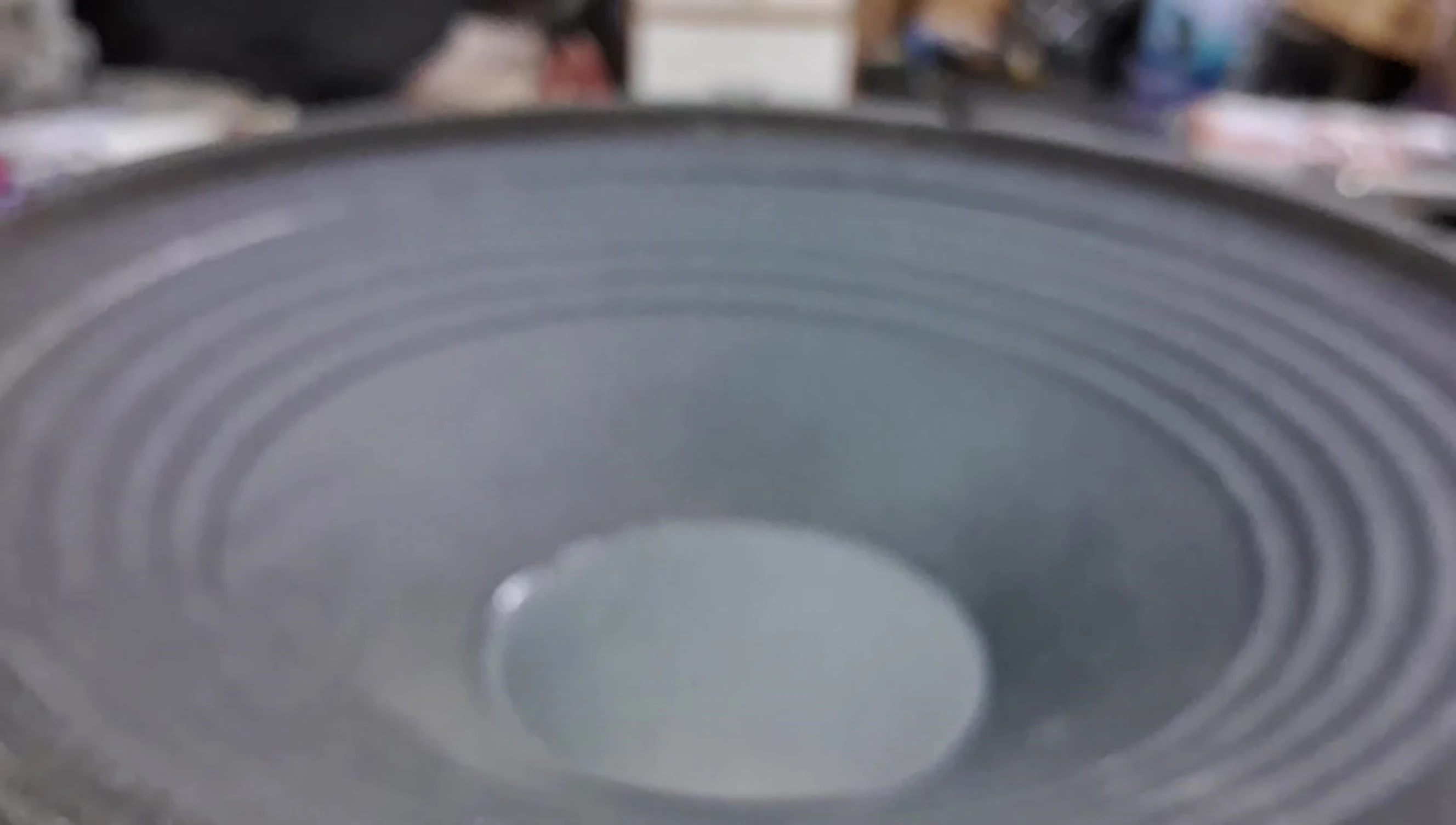 Final shot of the speaker