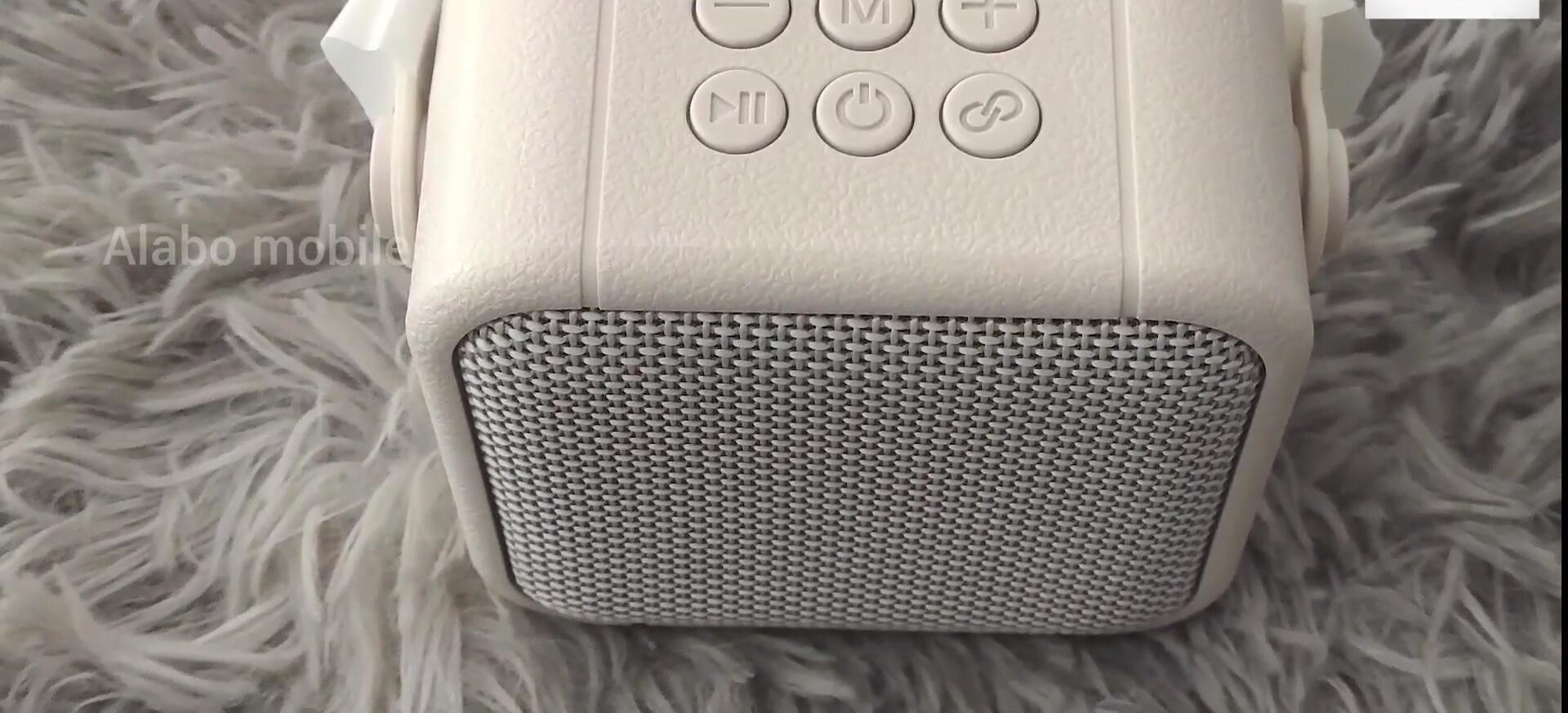 Demonstration of voice changer and sound test