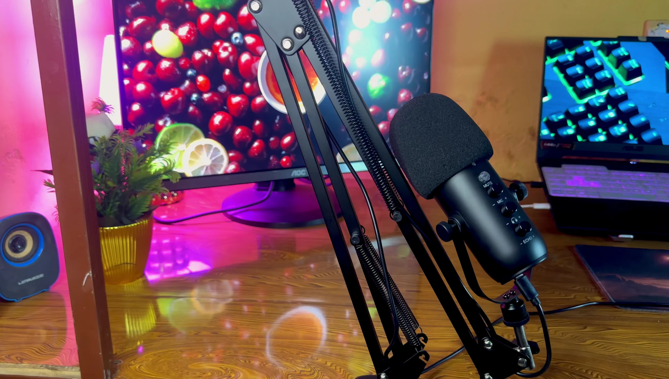 The reviewer demonstrating the microphone's setup.