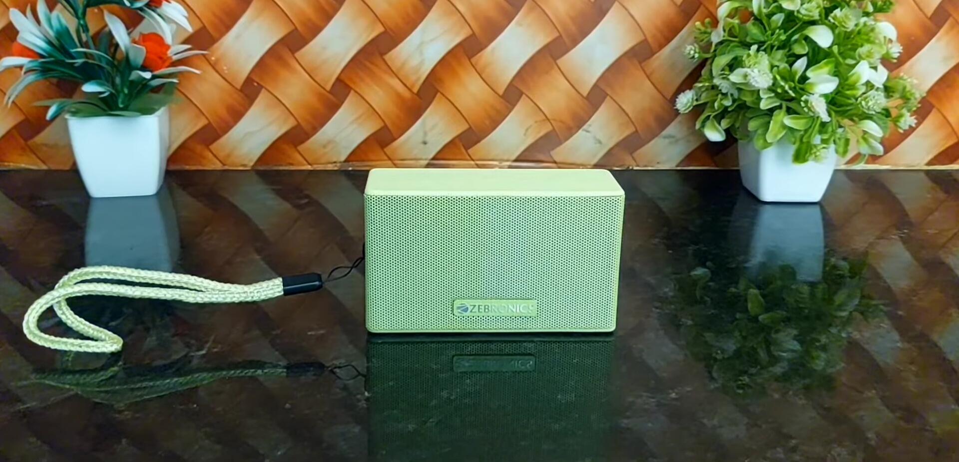 Older Model Speaker