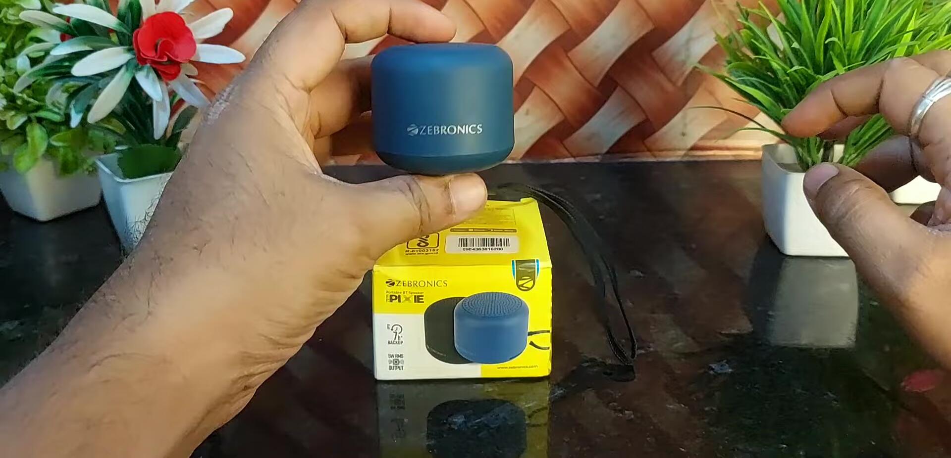 Zebronics Jaban's Pic speaker