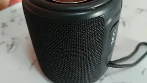 Boat Stone 350 Bluetooth Speaker: 1-Year Review and Performance Test