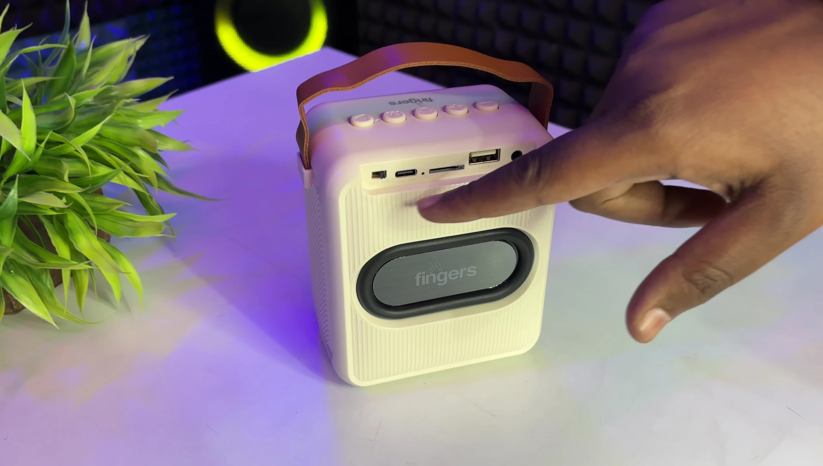 Back panel of the Fingers Solo speaker showcasing ports and switches.