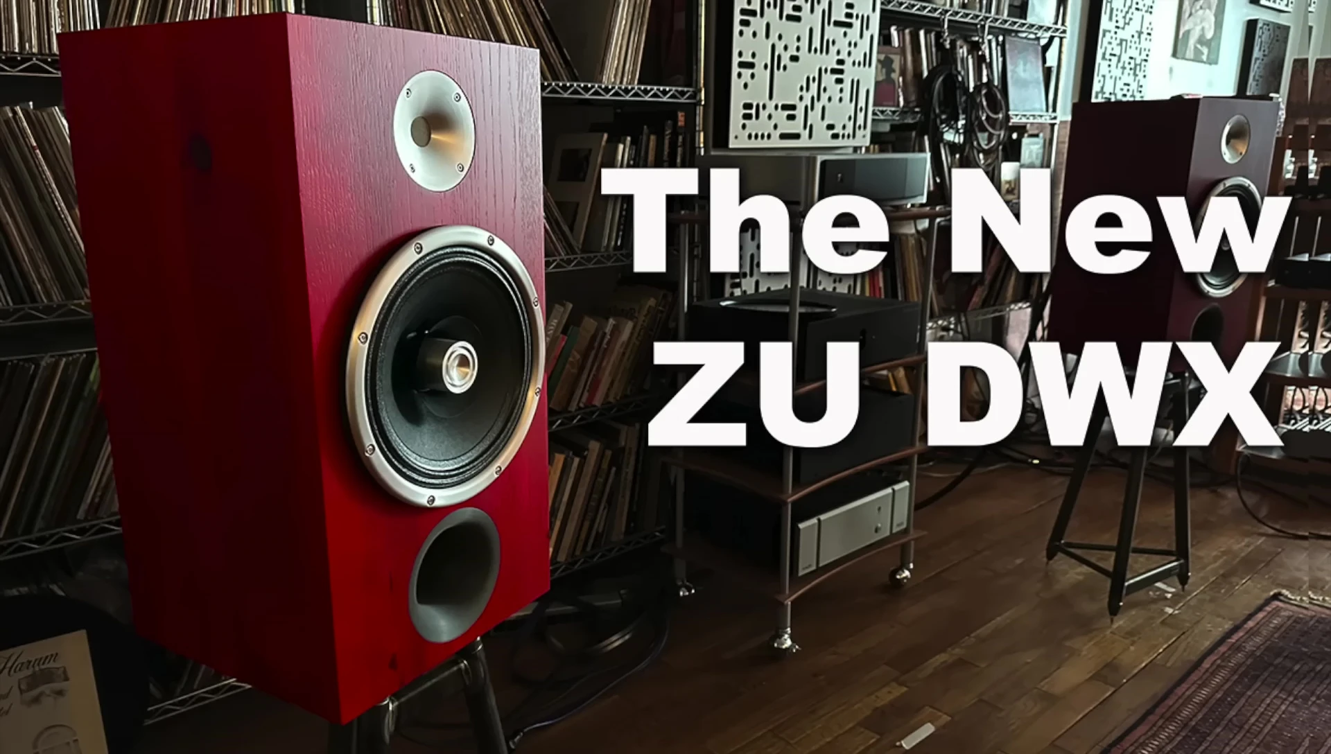 Screenshot during discussion of the Zu DWX alternative speaker.