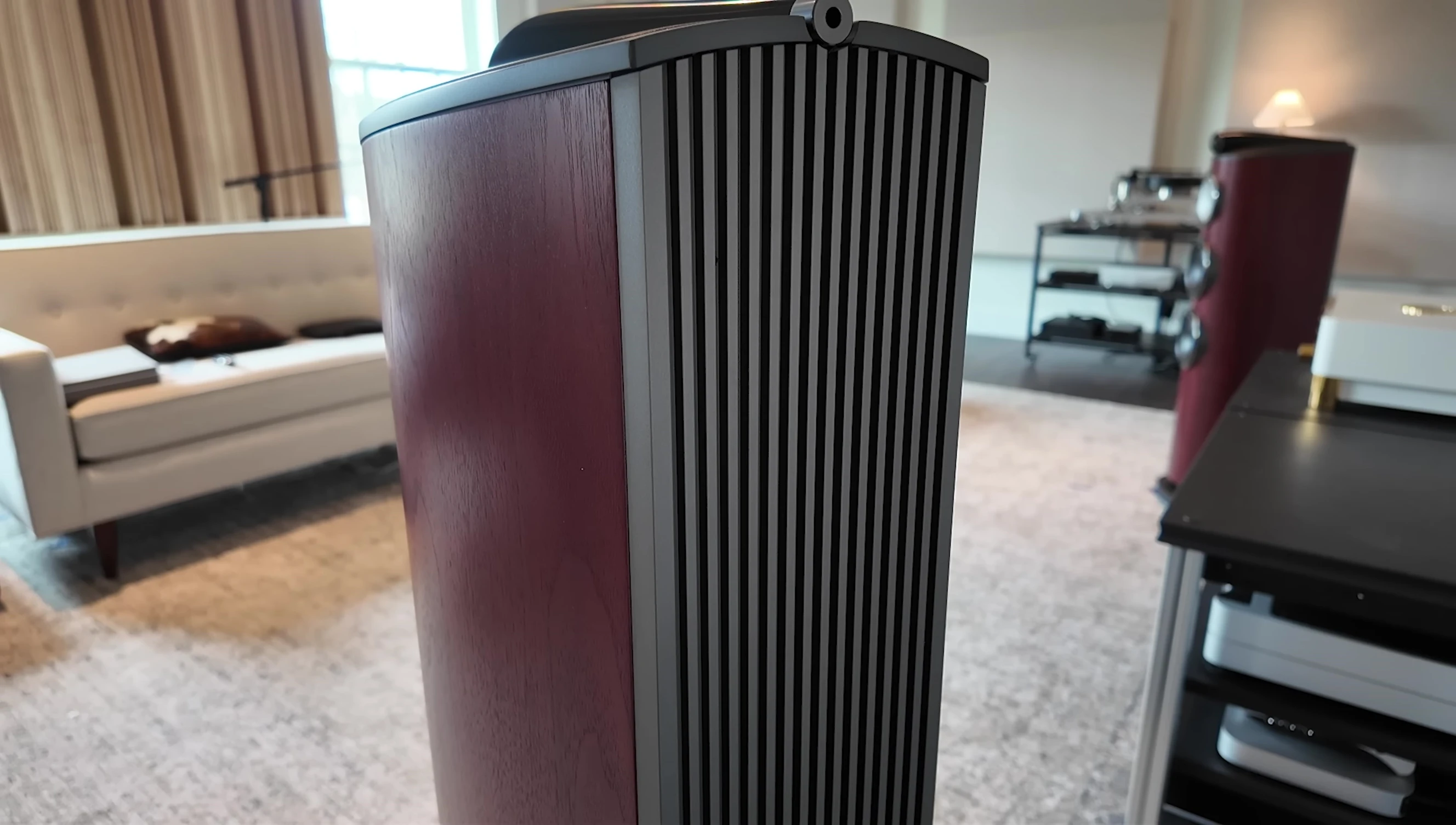 Image highlighting the speaker's cabinet construction and materials.