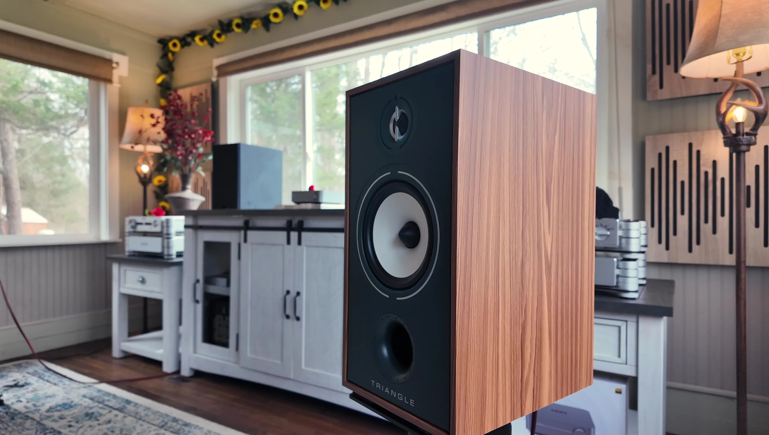 Close-up shot emphasizing the speaker's mid-range detail and clarity