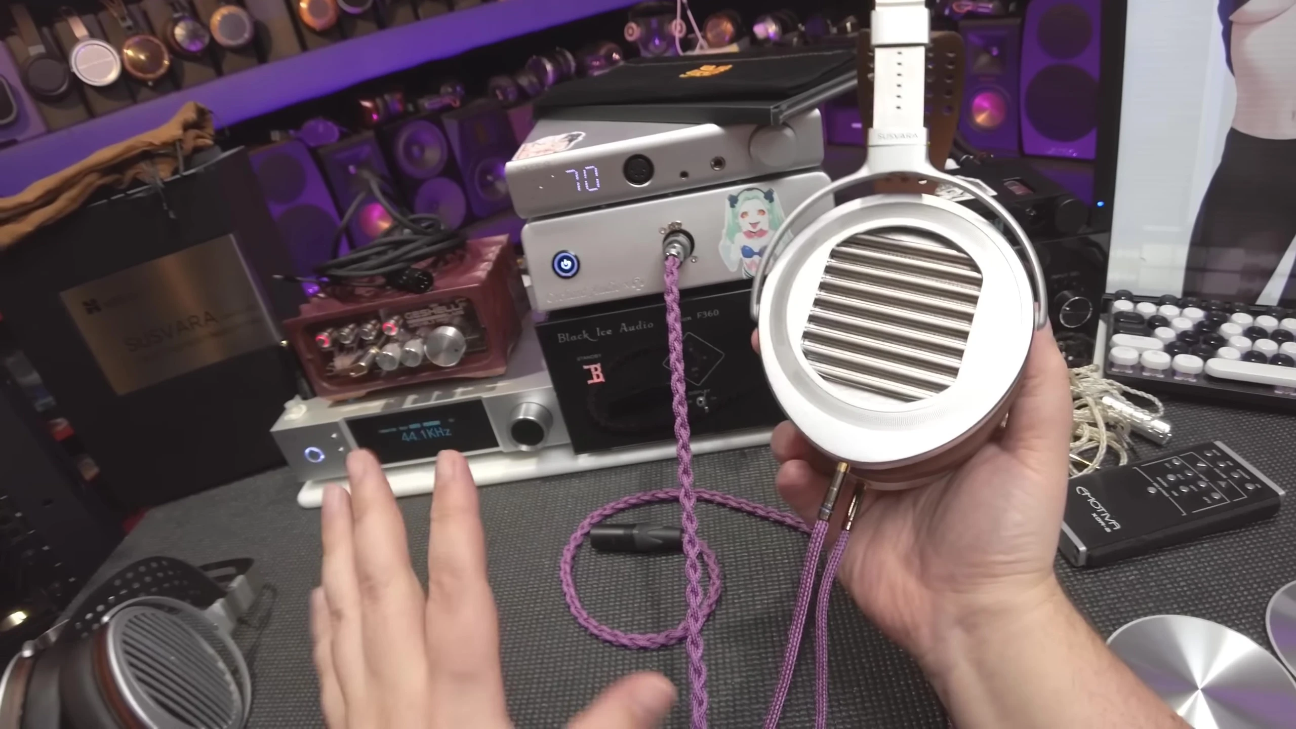Reviewer stating that these headphones aren't worth the cost.