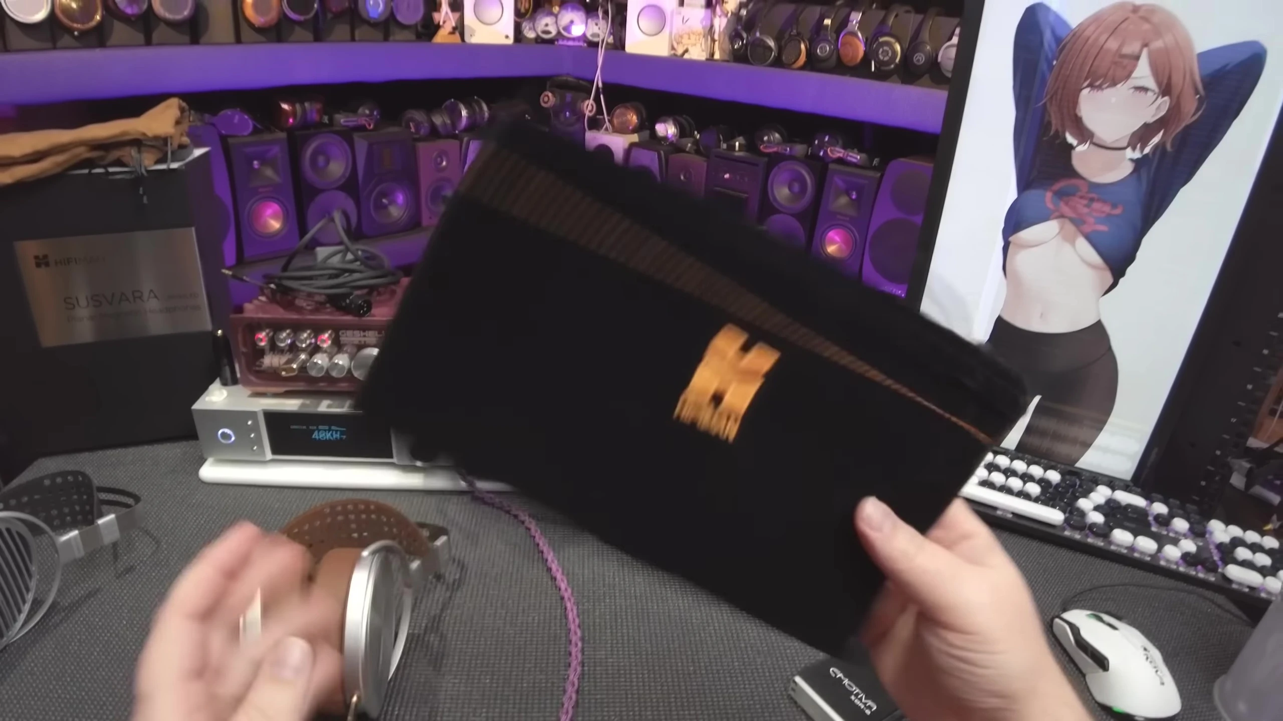 The low-quality carrying case.