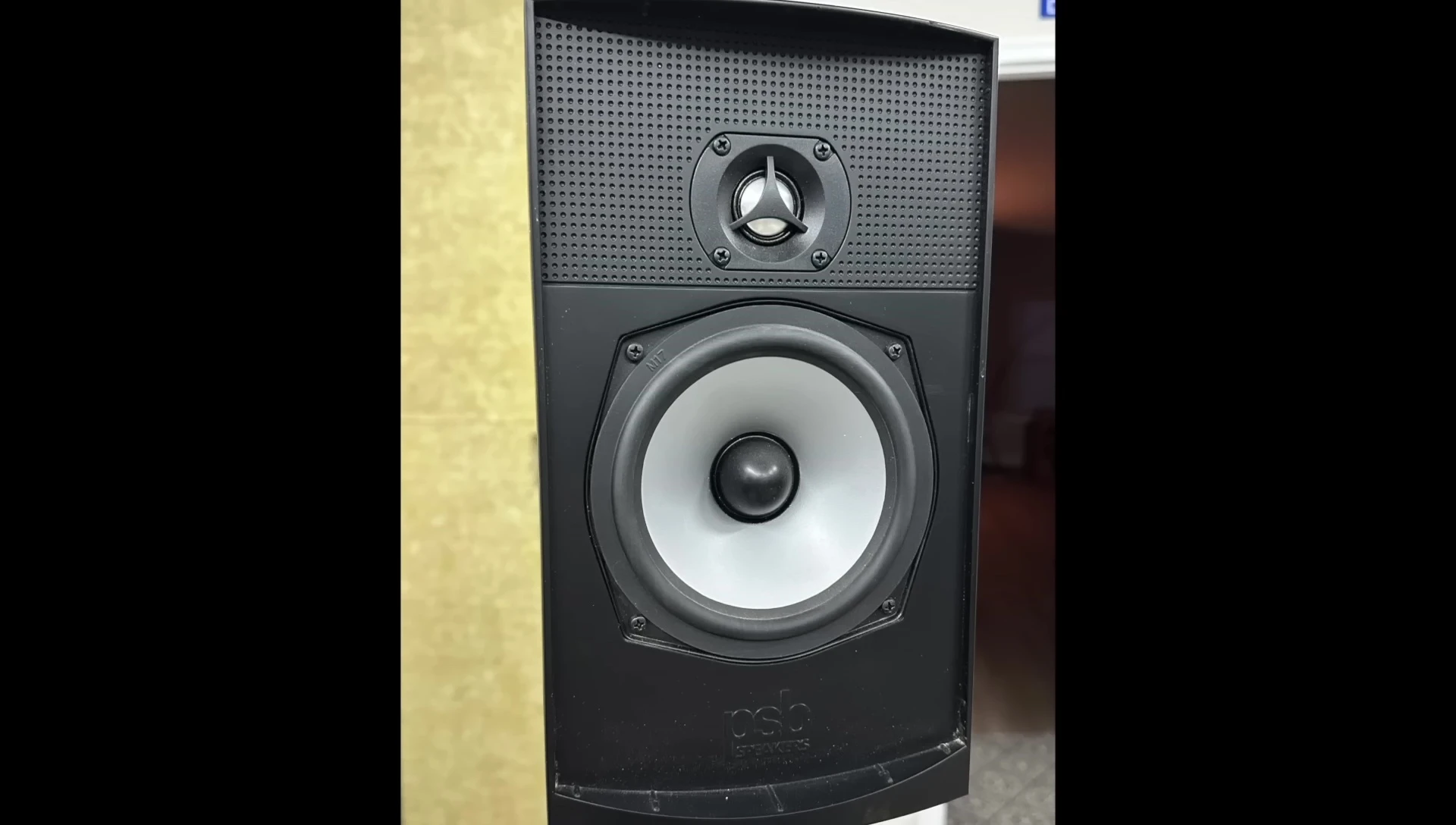 The undamaged PSB Alpha B speaker before the experiment.