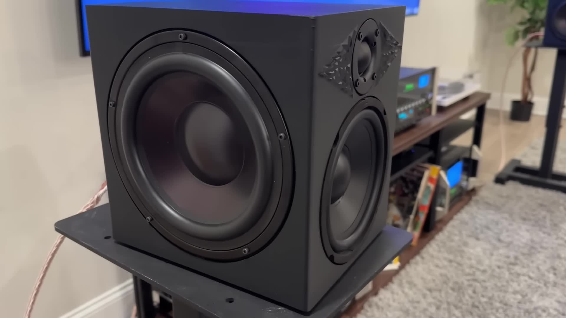 Close-up shot highlighting the tweeter and its surrounding area.