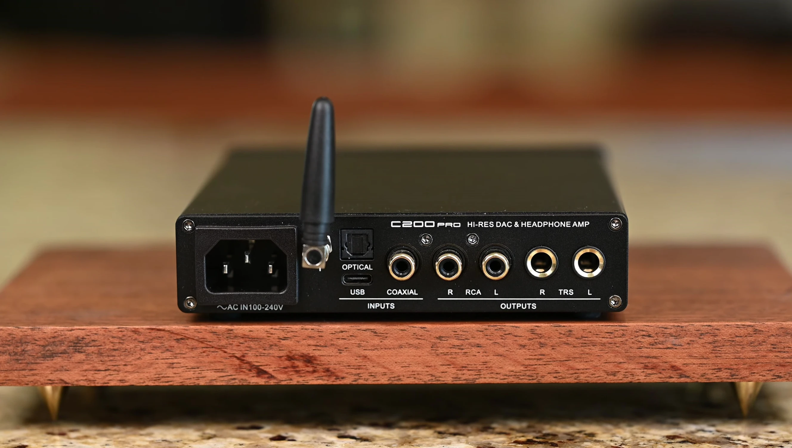 Shot of the rear panel illustrating the various input and output ports.
