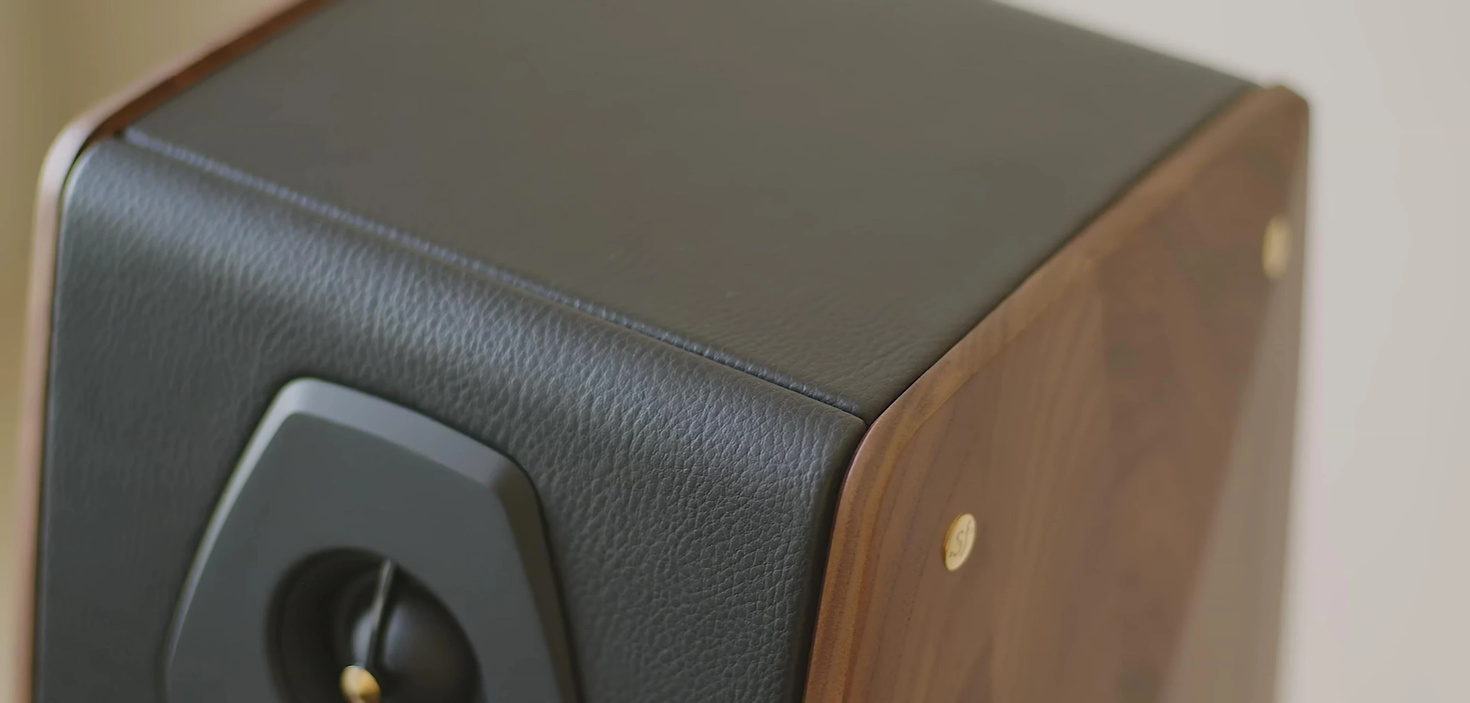 Image showcasing the plant-based leather covering.
