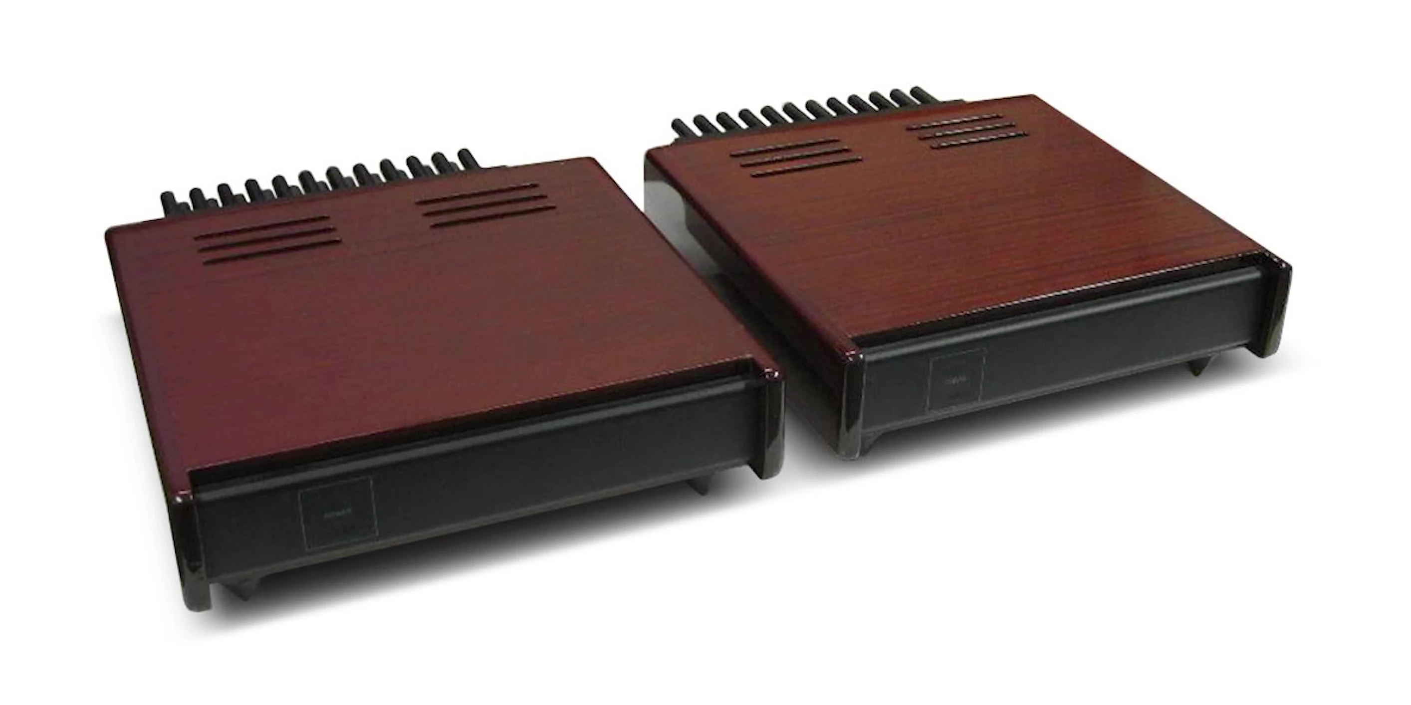 Image of the Mitner M101 monoblock amplifier