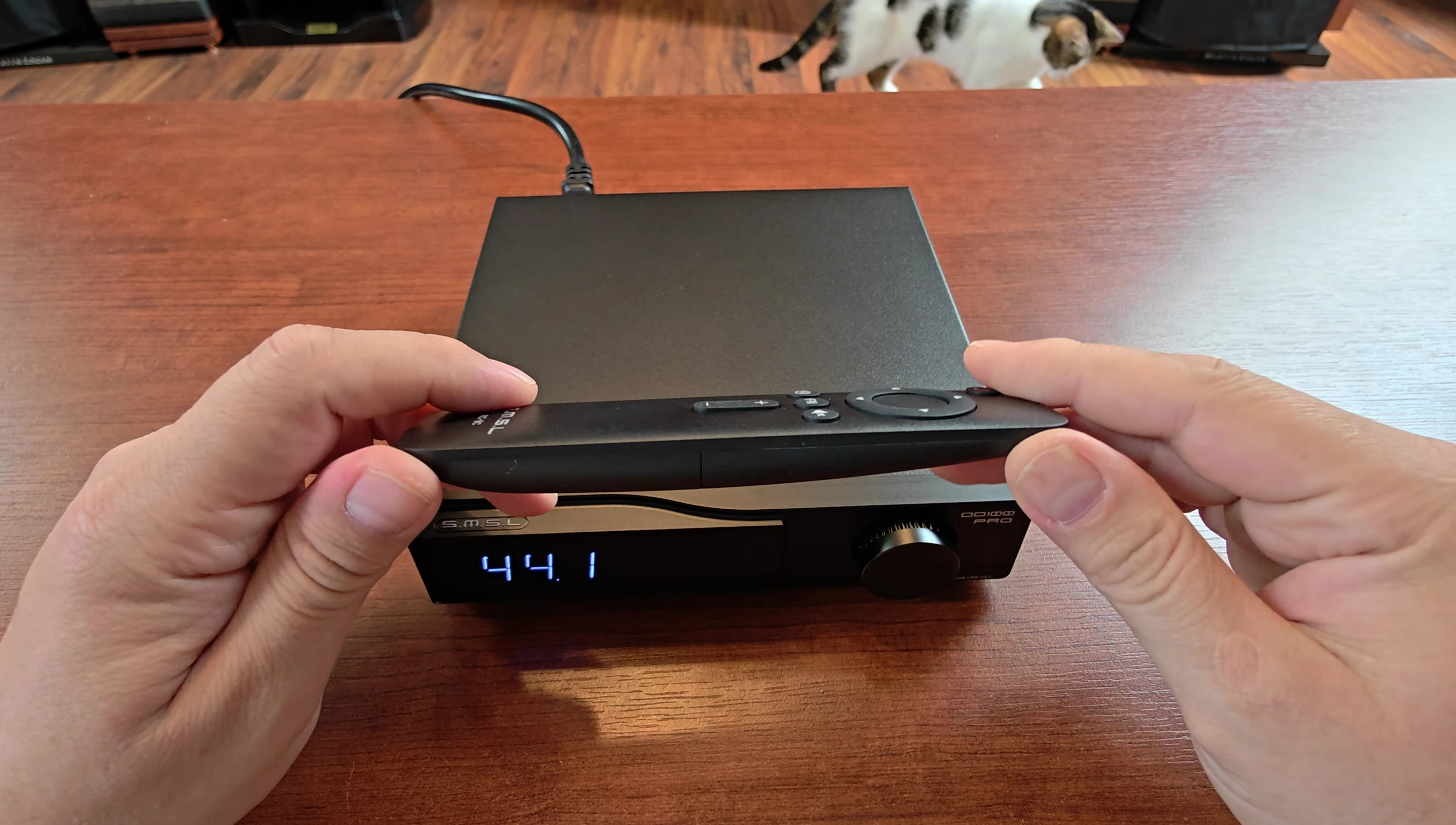 Image of the remote control for the DO100 Pro
