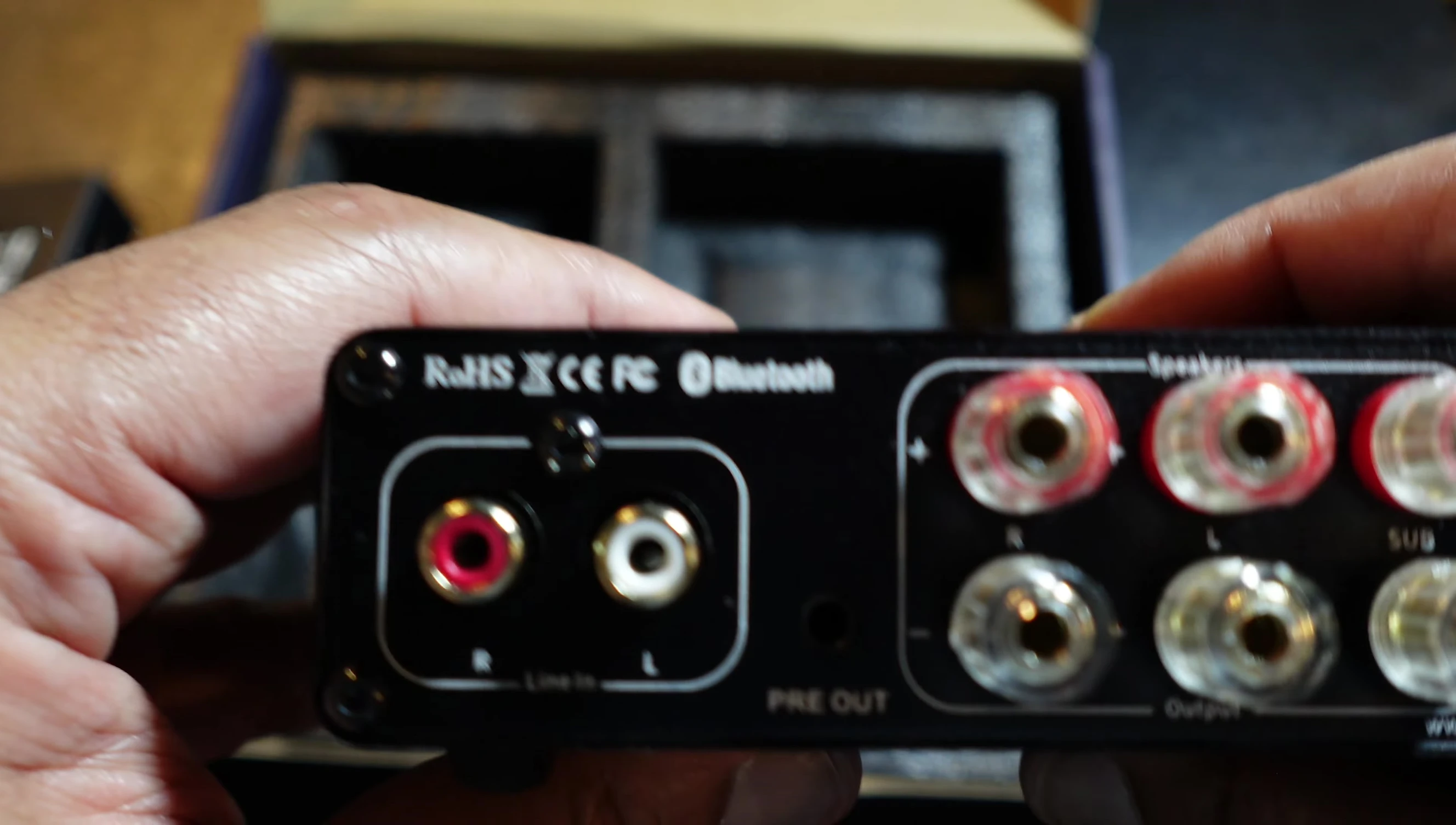 Rear panel connectivity options of the BT30D Pro
