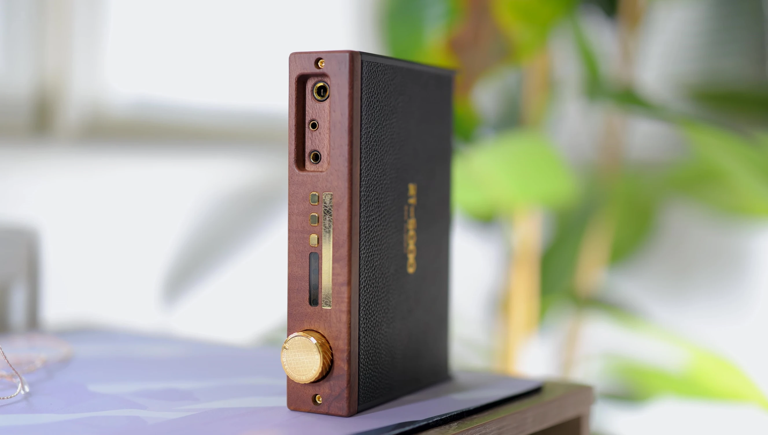 Image emphasizing the warm and bassy sound described.