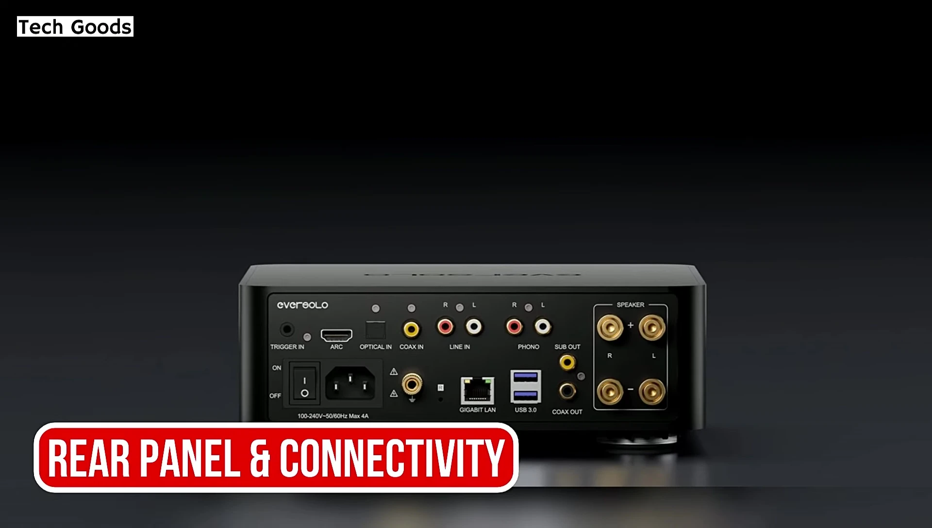 The rear panel of the EverSolo Play showcasing its extensive connectivity options