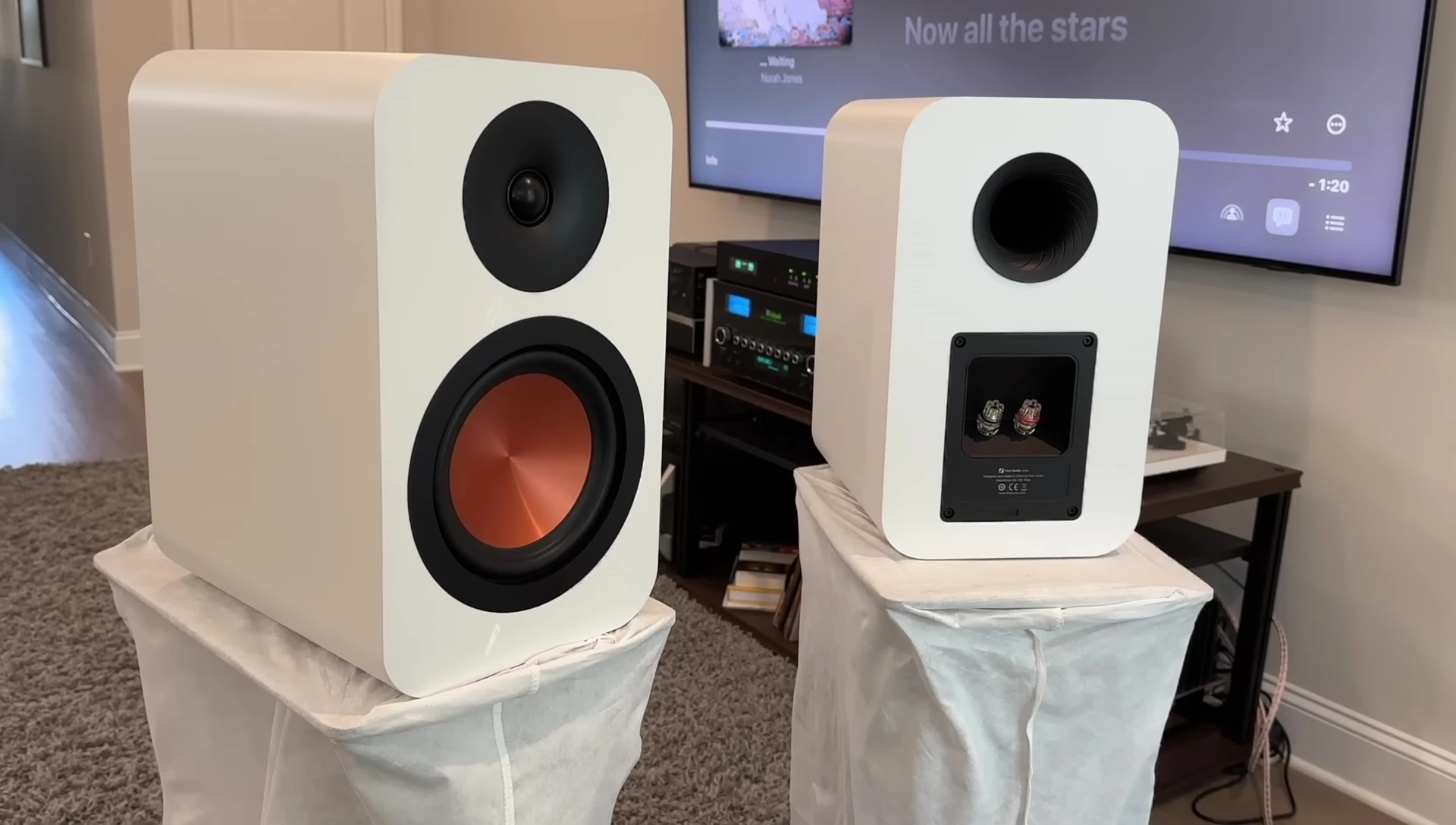 The reviewer discussing the speaker specifications.