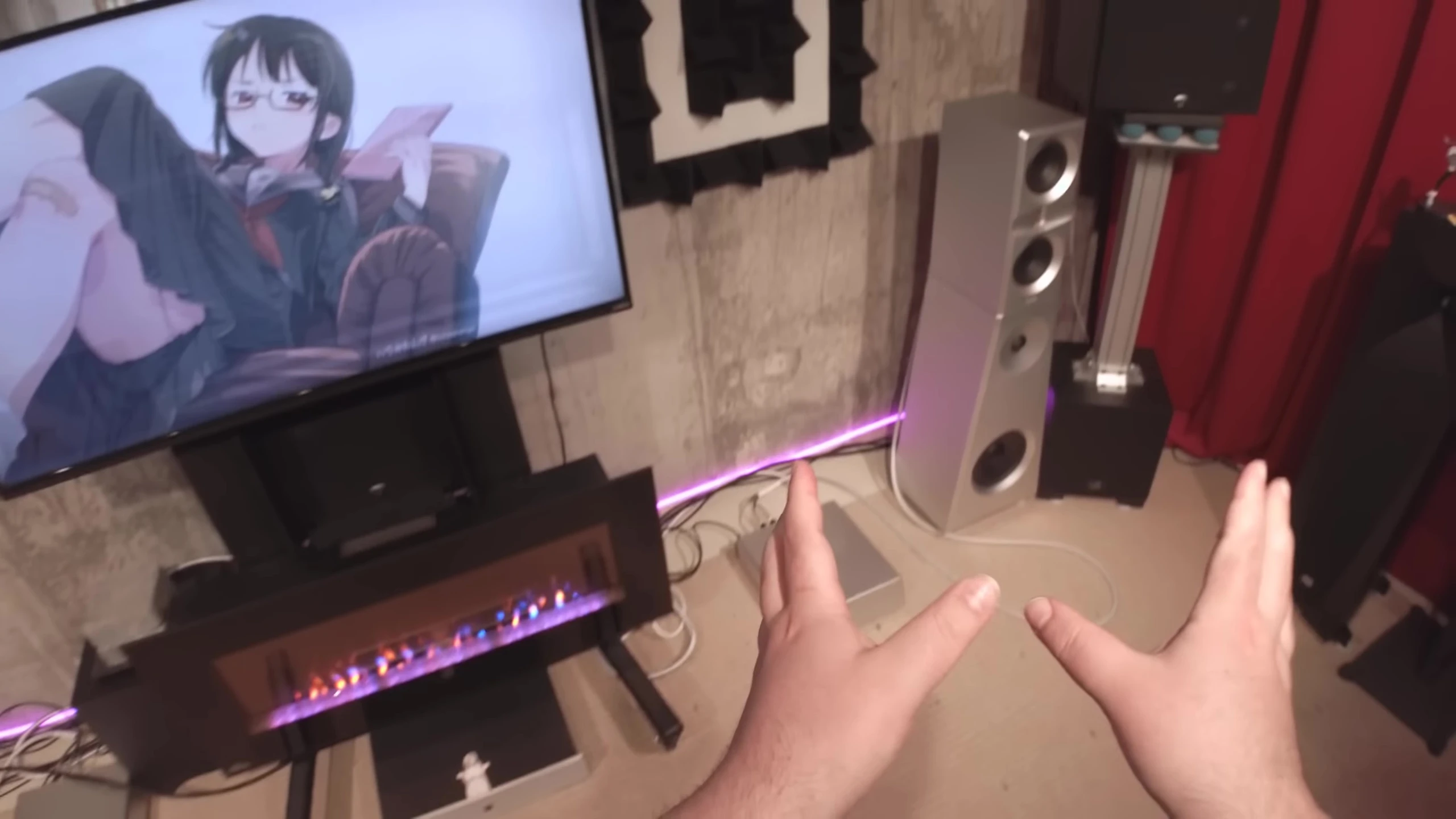 The reviewer highlighting the price of the speakers