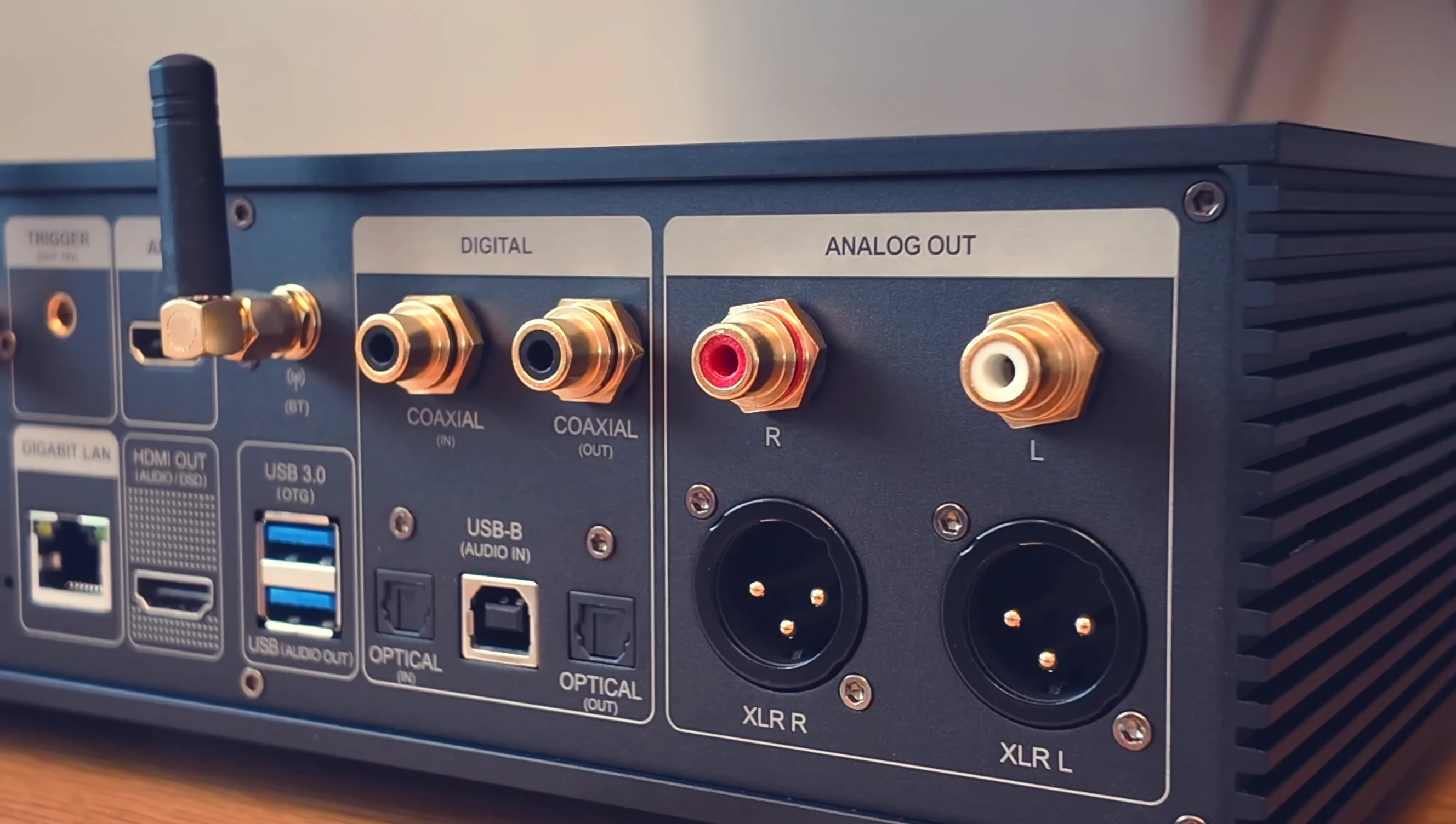Detailed view of the rear panel connections