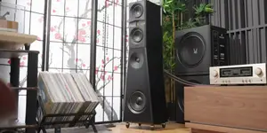 Mon Acoustic Platimons: My Endgame Speakers - A Detailed Review