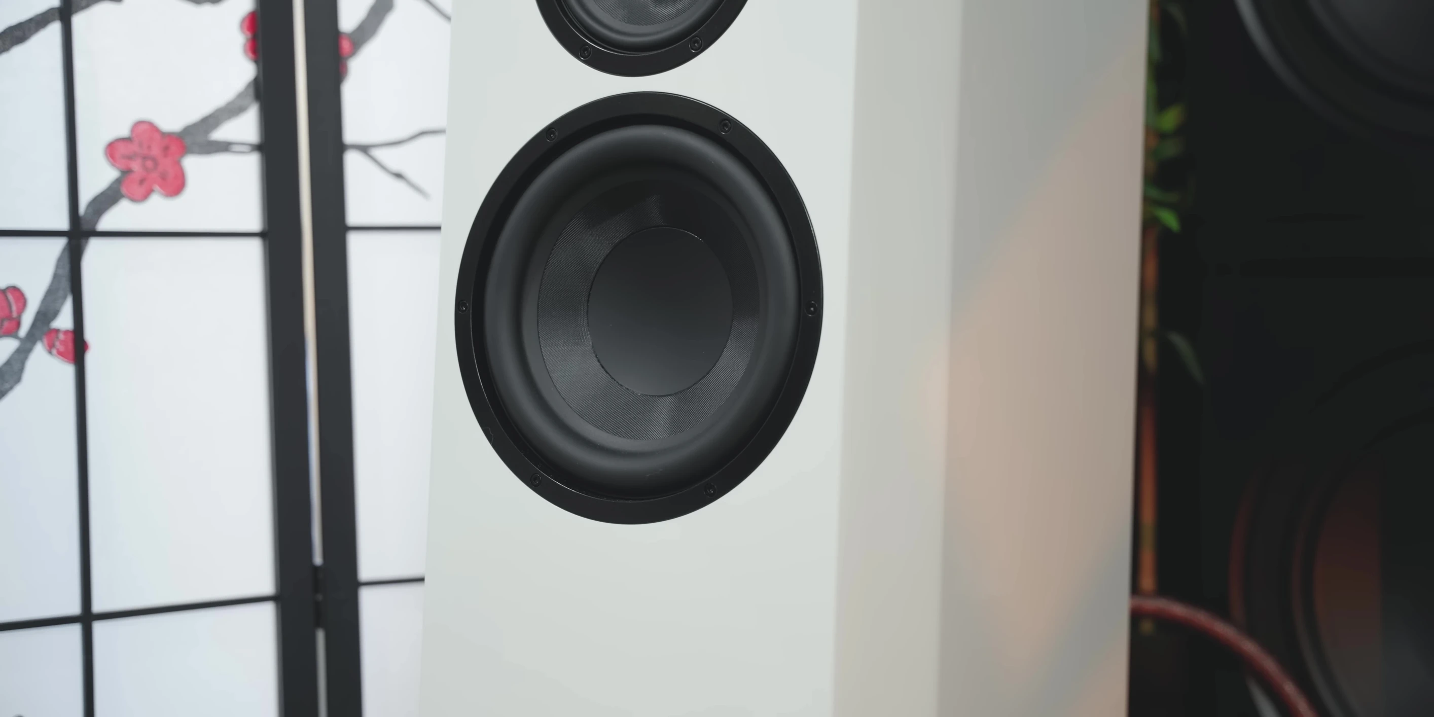 View of the front woofers